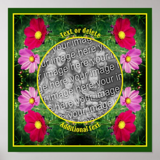 Cosmos Flowers Lijst Creëer Uw eigen foto Poster (Voorkant)