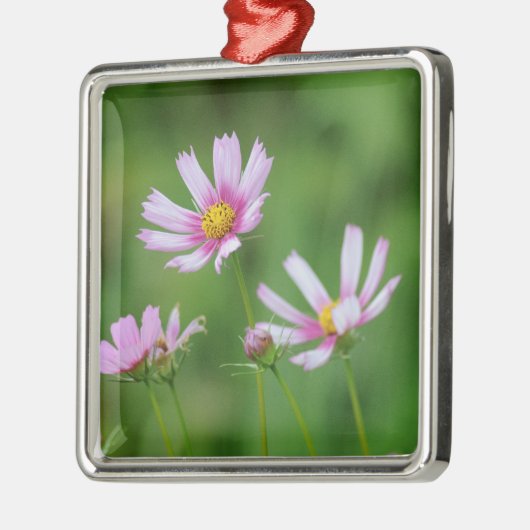 Cosmos Flowers Metalen Ornament (Links)