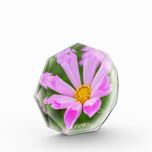 Cosmos Fotoblokken (Links)