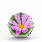 Cosmos Fotoblokken (Voorkant)