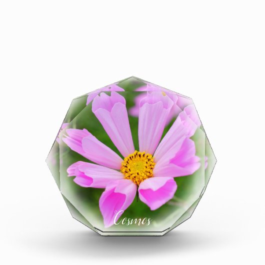 Cosmos Fotoblokken (Voorkant)