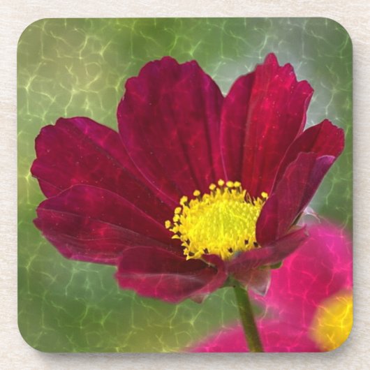 Cosmos Glory Onderzetter (Voorkant)