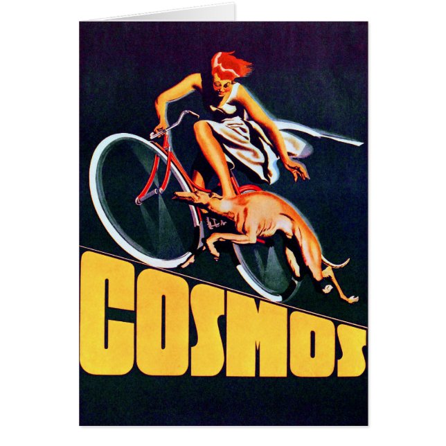 Cosmos Greyhound Bicycle (Voorkant)