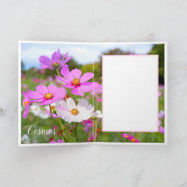 Cosmos Kaart