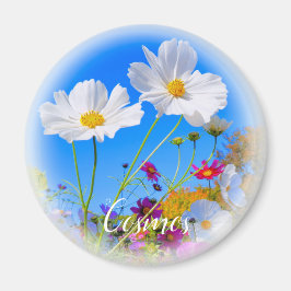 Cosmos magneet
