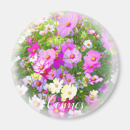 Cosmos magneet