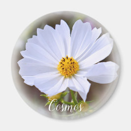 Cosmos magneet