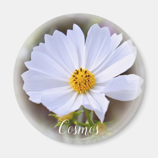 Cosmos magneet (Voorkant)