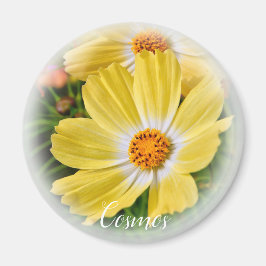 Cosmos magneet