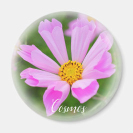 Cosmos magneet