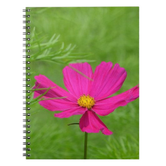 Cosmos Notitieboek (Voorkant)