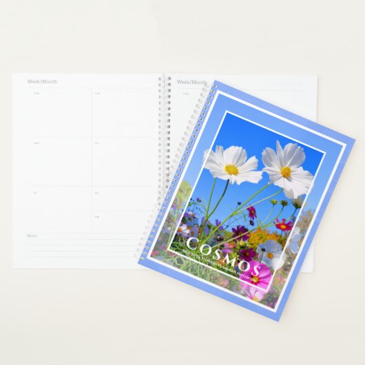 Cosmos Planner (Display)