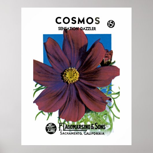 Cosmos Poster (Voorkant)