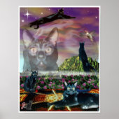 Cosmos Poster (Voorkant)