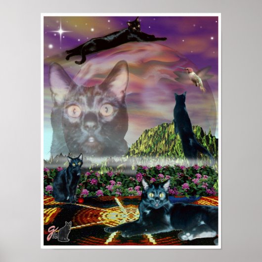 Cosmos Poster (Voorkant)