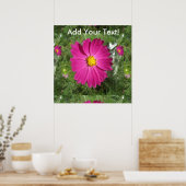 Cosmos Red Flower Poster (Keuken)