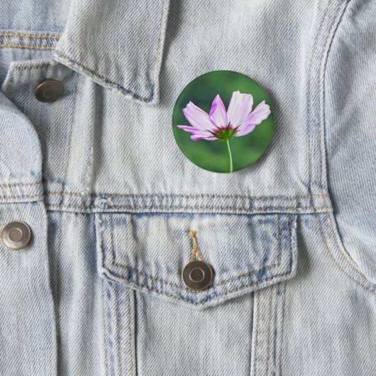 Cosmos Ronde Button 5,7 Cm (In situ)