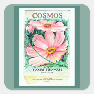 Cosmos Seed Packet Vierkante Sticker