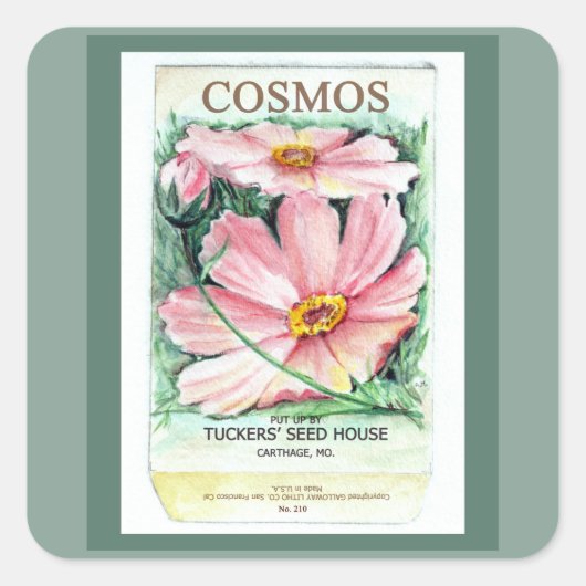Cosmos Seed Packet Vierkante Sticker (Voorkant)