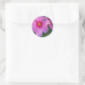 Cosmos Sticker (Tas)