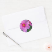 Cosmos Sticker (Envelop)
