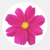 Cosmos Sticker (Voorkant)