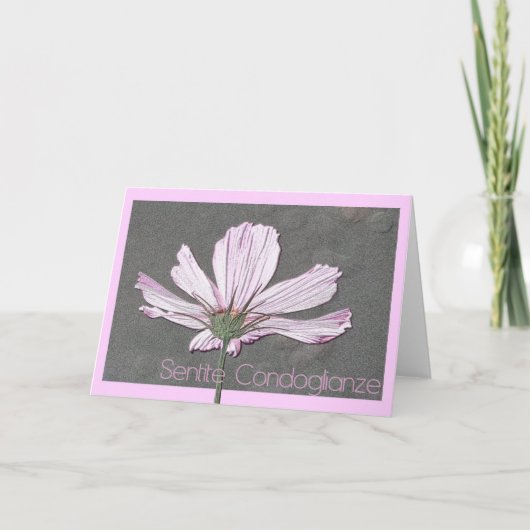 cosmos sympathiekaart italiaans kaart (Voorkant)