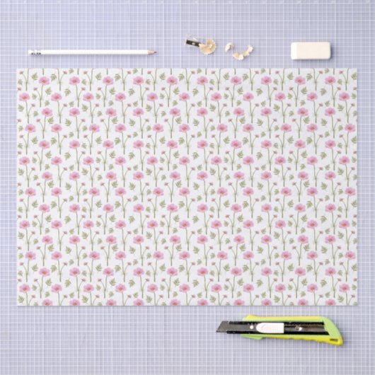 Cosmos Tissuepapier (Craft)