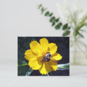 Cosmos trekt Bumblebee aan Briefkaart (Staand voorkant)