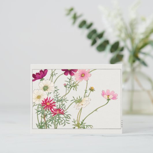 Cosmos van Tanigami Konan Briefkaart (Staand voorkant)