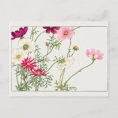 Cosmos van Tanigami Konan Briefkaart (Voorkant)