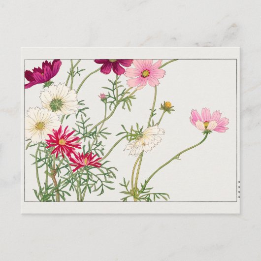 Cosmos van Tanigami Konan Briefkaart (Voorkant)