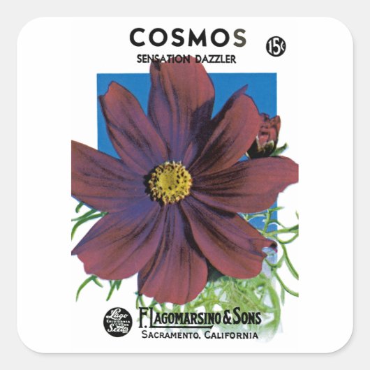 Cosmos Vierkante Sticker (Voorkant)