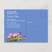 Cosmos Wilderness Wild-Flowers Aankondigingskaart (Achterkant)