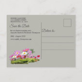 Cosmos Wilderness Wild-Flowers Aankondigingskaart (Achterkant)