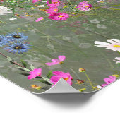 Cosmos Wilderness Wild-Flowers Poster (Hoek)