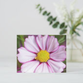 Cosmosbloem (bidens formosa) briefkaart (Staand voorkant)