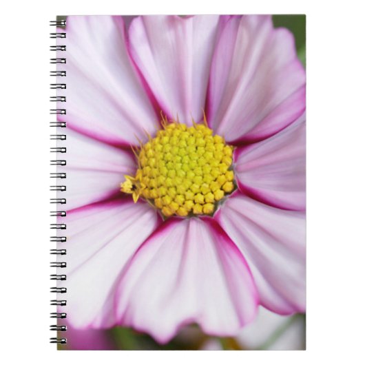 Cosmosbloem (bidens formosa) notitieboek (Voorkant)