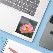 Cosmosbloem Sticker (Laptop met iPhone)