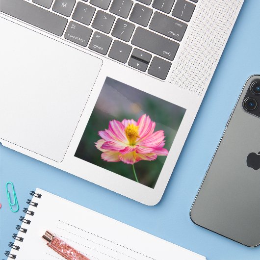 Cosmosbloem Sticker (Laptop met iPhone)