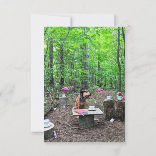 Cosplay Mad Hatter boek Grappige Hond Fotokaart Bedankkaart (Voorkant)