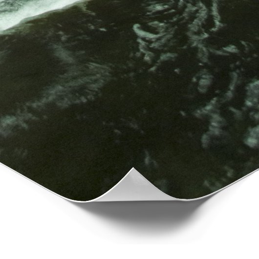 Cosra Rica Dream Poster (Hoek)