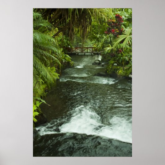 Cosra Rica Dream Poster (Voorkant)