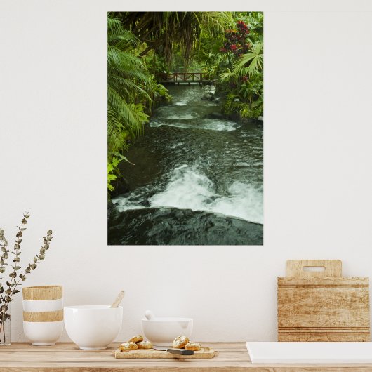 Cosra Rica Dream Poster (Keuken)