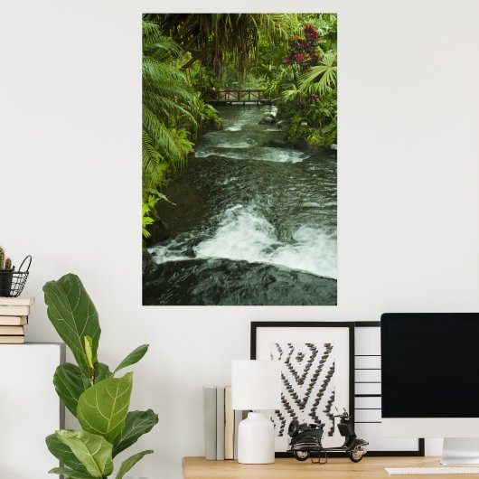 Cosra Rica Dream Poster (Thuiskantoor)