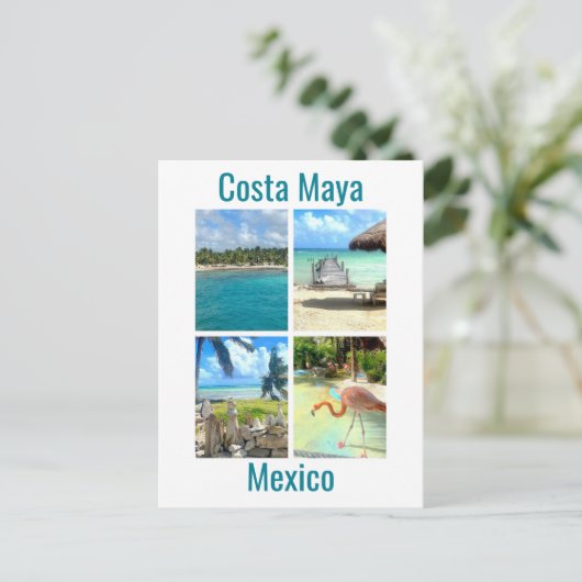 Costa Maya, Mexico Briefkaart (Staand voorkant)