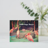 Costa Maya Mexico-Briefkaart Briefkaart (Staand voorkant)