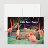 Costa Maya Mexico-Briefkaart Briefkaart (Voorkant / Achterkant)