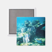 Costa Maya Reef Magnet (Voorkant / Achterkant)