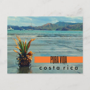 Costa Rica Ananas op het strand Briefkaart